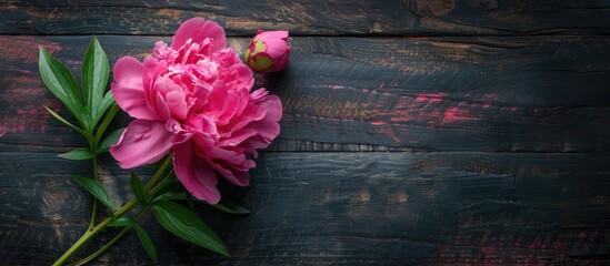 Fototapete - Pink peony flower on a dark wooden surface offering ample copy space for a heartfelt Mother s Day message creating a warm and inviting background theme