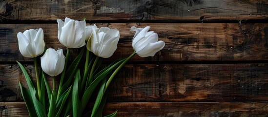 Poster - Tulips in white bloom against a rustic wooden backdrop with copy space image