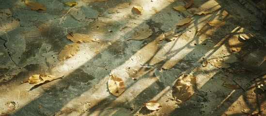 Poster - Morning sunlight casts abstract shadows of dry leaves on a cement floor with ample copy space image