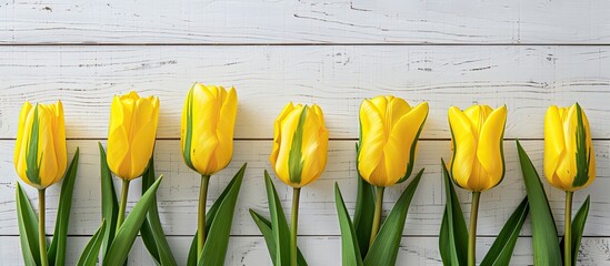 Poster - Tulips in yellow with green leaves against a white wood backdrop great for copy space image