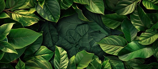 Leinwandbilder - Nature themed creative concept idea layout featuring leaves surrounding a blank copy space image