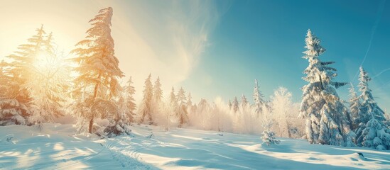 Aufkleber - Winter wonderland with snow covered trees under pure sunlight against a clear blue sky perfect for eco tourism ecology environmental conservation and Christmas vacations with copy space image