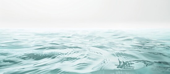 Poster - A serene aquatic view with a white backdrop ideal for copy space image