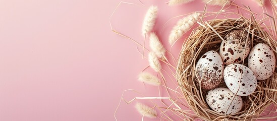 Poster - Easter greeting card with white basket of quail eggs and dry grass branch on pink background featuring copy space image for a religious themed pastel colored spring design