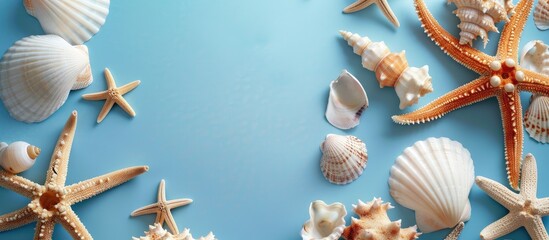 Aufkleber - Seashell frame against a blue backdrop offering copy space image