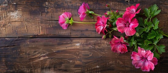 Aufkleber - Geranium flowers displayed on a rustic wooden board with empty space for text or images. Creative banner. Copyspace image