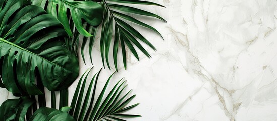 Poster - A tropical vibe is captured in a photo of vibrant palm leaves against a white marble wall with space for text or graphics. Creative banner. Copyspace image