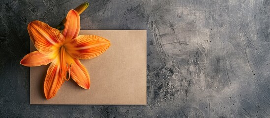 Poster - Mockup of a business card on brown paper featuring an orange day lily on a gray concrete surface with blank space for text or images on the side evoking a spring themed still life. Creative banner