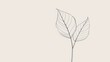 © keetazalay - A minimalistic background with a simple, clean design featuring a single, delicate line drawing of a leaf on a white background, capturing the essence of simplicity and elegance