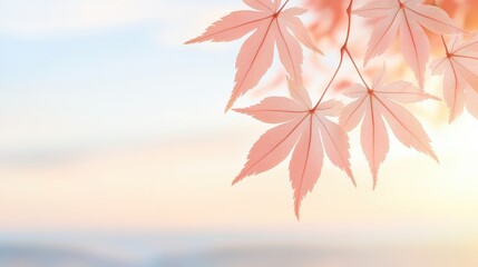 Wall Mural - A leafy tree branch with pink leaves is shown against a blue sky