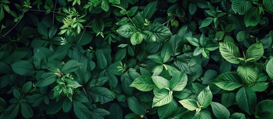 Aufkleber - Nature in green hues ideal as a backdrop or wallpaper with available copy space image