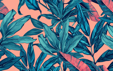 a close up of a plant with many leaves on a pink background