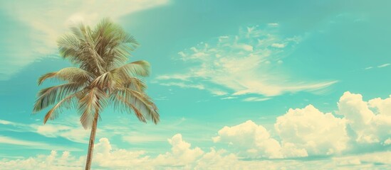 Poster - Tropical beach scene with a palm tree against a blue sky and white clouds creating a serene copy space image for summer vacation and business travel ideas Vintage color filter adds a nostalgic touch