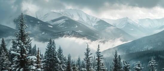 Wall Mural - Scenic winter mountains with snow covered spruce trees against a cloudy sky Stunning copy space image