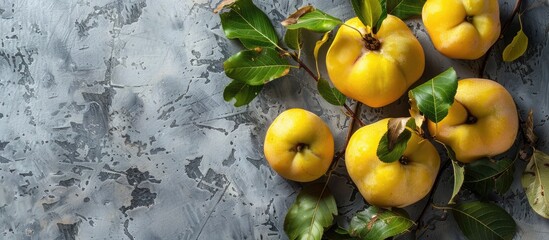 Aufkleber - Fresh organic quinces with leaves on a grey table top view perfect for adding text in the copy space image