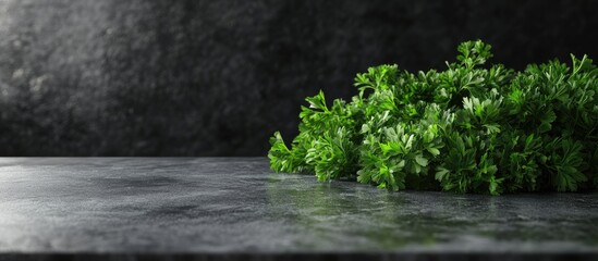 Fototapete - fresh parsley placed on the table. with copy space image. Place for adding text or design