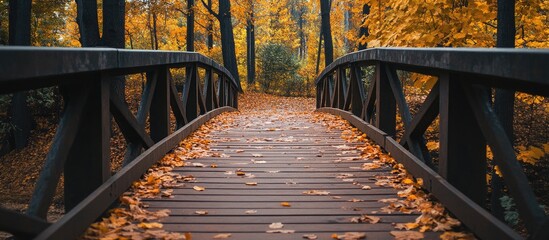 Aufkleber - Pedestrian bridge along a path in an autumn forest Natural backdrop with copyspace for text or lettering