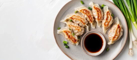 Poster - Gyoza or Jiaozi dumplings arranged on a round plate with soy sauce and scallions top view. with copy space image. Place for adding text or design