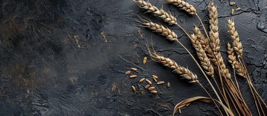 Wall Mural - top view of wheat ears on a rustic black concrete table with copyspace a pattern of rye ears against