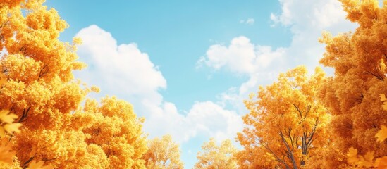 Aufkleber - Autumn landscape Sunny day Yellow tree crowns against a blue sky backdrop. with copy space image. Place for adding text or design
