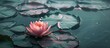 © vxnaghiyev - lotus. with copy space image. Place for adding text or design