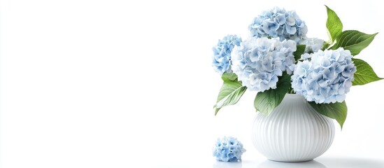 Aufkleber - Chic vase filled with lovely hydrangea flowers on a white background Banner design. with copy space image. Place for adding text or design