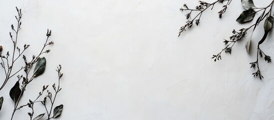 Poster - Flat lay arrangement featuring branches with green leaves and dried plants on a light backdrop. with copy space image. Place for adding text or design