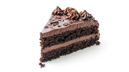 Chocolate Cake Slice with Chocolate Frosting