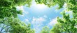 © Ilgun - Nature themed background featuring the sky peeking through tree branches from a bottom view with a frame of treetops allowing copy space image