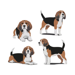 Beagle Silhouette Vector Template Illustration