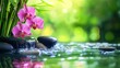 © Tida - Tranquil Zen Garden with Pink Orchids and Waterfall - A serene image depicting a zen garden with pink orchids, a cascading waterfall, and smooth river stones, symbolizing peace, tranquility, nature, b