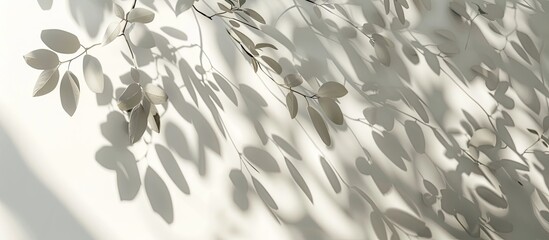 Wall Mural - Sunlight filtering through tree leaves casts intricate shadows creating a captivating effect on a white wall backdrop perfect for a wallpaper with copy space image