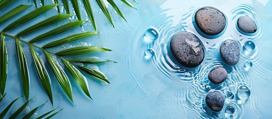 Canvas Print - Palm leaves and spa stones moist in water on a light blue backdrop with room for text in the copy space image