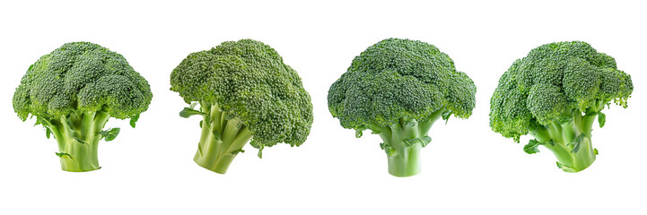 Wall Mural - Set of fresh broccoli head isolated on a transparent background