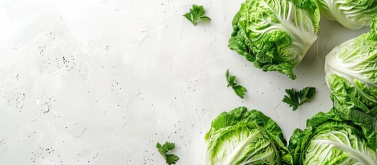 Sticker - Fresh cabbage sliced on a white background with a copy space image showcasing its benefits as a healthy and essential ingredient for salads