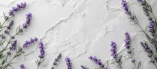 Canvas Print - Top view of lavender flowers on white plaster with blank paper for copy space image a close up floral backdrop perfect for mockups and templates