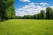 © Riz - Lush Green Field with Trees and a Blue Sky with Clouds