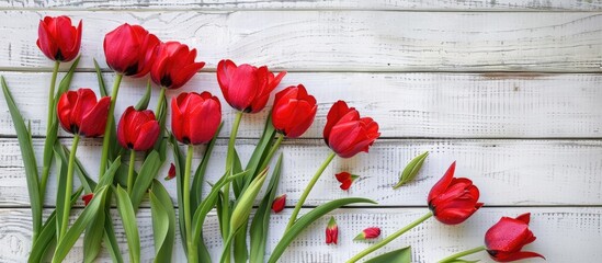 Close up of tulip flowers and the American flag against a white wooden backdrop in a copy space image ideal for Memorial Day festivities