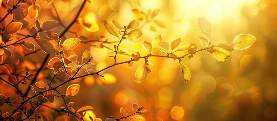 Sticker - At sunset sunlight gently bathes silhouetted leaves and branches in golden hues forming a tranquil scene with vibrant colors and natural beauty offering abundant copy space image