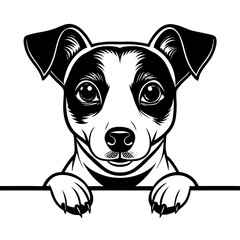 create a black and white illustration of a jack  vector illustration