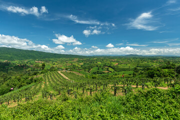 Wall Mural - beautiful natural panoramic countryside landscape. rainforest ecosystem and healthy environment conc