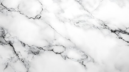 Poster - Luxurious White Marble Texture Background with Delicate Grey Veins and Polished Surface