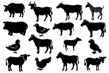 Wall Mural - farm animals collection vector illustrations