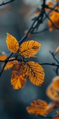 Canvas Print - Autumn Leaves On Branch Against Blue Background