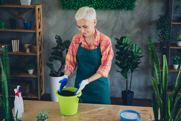 Sticker - Photo of adorable happy elderly lady wear apron enjoying gardering preparing soil indoors home workplace