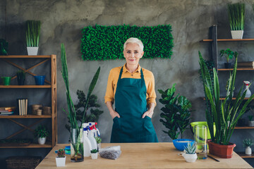 Poster - Photo of shiny happy age woman dressed apron gathering plants indoors home workshop