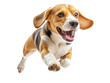 © Aquarii - A joyful beagle dog leaping in mid-air, showcasing its playful spirit and energy. Perfect for animal and pet themes.