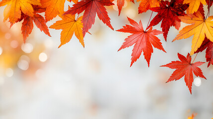 Canvas Print - Vibrant Autumn Leaves - Perfect for Fall Designs