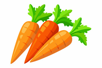 Healthy orange carrots graphic illustration