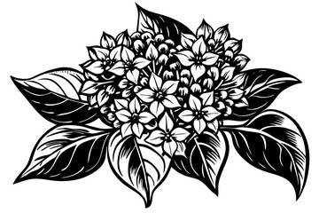 Wall Mural - Dahlia flower monochrome silhouette vector